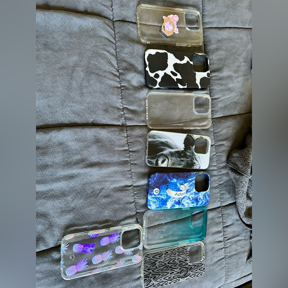 13 Pro Case